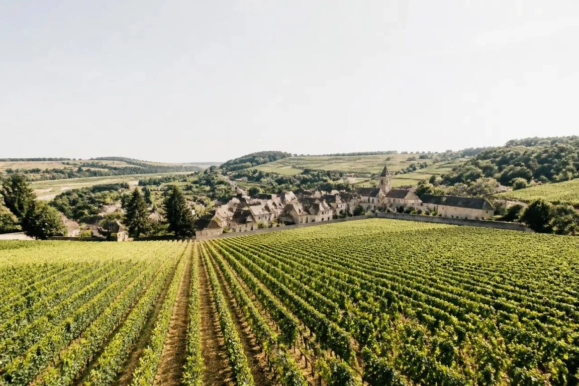 Côte-d'Or tourisme : paysage de vignobles en Bourgogne avec village au loin