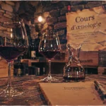 Cours oenologie à Dijon : verres de vin Bourgogne en cave